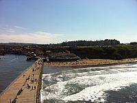 whitby5
